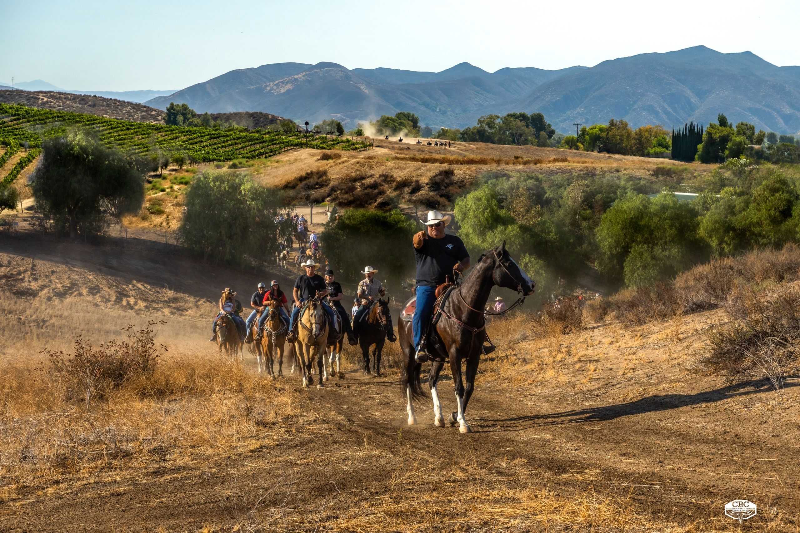 Wine Country Horseback Rides, Guided Tours, Sunset Rides Wine Country